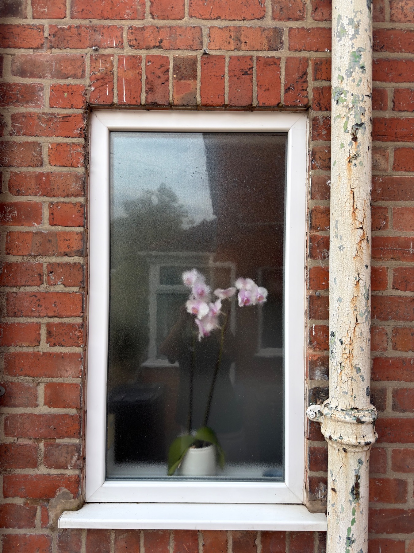 Window after detailed cleaning