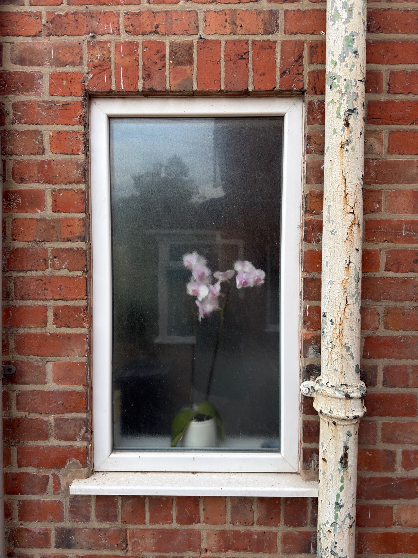Window before detailed cleaning